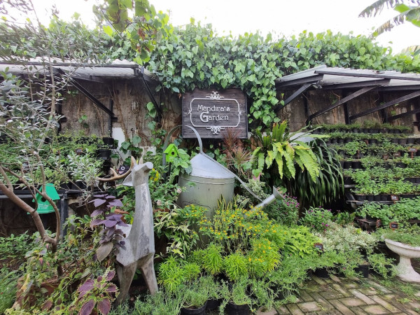 6 Rekomendasi Kafe Hidden Gem di Jakarta, Nomor 4 ala Studio Ghibli