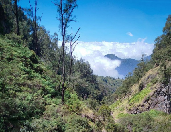 10 Rekomendasi Gunung dengan Pemandangan Cantik di Indonesia, Ijen Pancarkan Api Biru yang Menawan