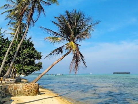 5 Pantai Terindah di Karimunjawa, Nomor 3 Destinasi Ideal untuk Snorkeling
