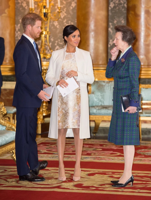 Putri Anne Sindir Pangeran Harry-Meghan Markle, Isyaratkan Bakal Cerai?