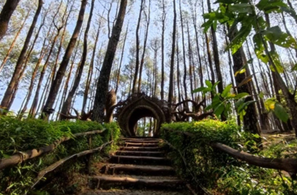 10 Tempat Wisata Hidden Gem di Jogja, Rekomendasi untuk Pemburu Destinasi Unik