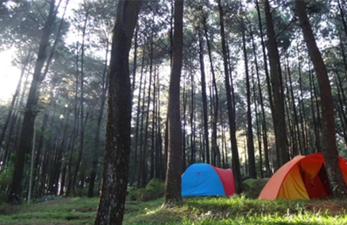 10 Tempat Wisata Instagramable di Sekitar Sentul, Ada Negeri di Atas Awan