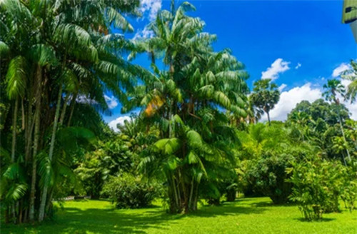 10 Tempat Wisata Instagramable di Sekitar Sentul, Ada Negeri di Atas Awan