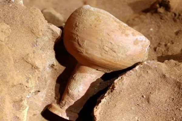 Arkeolog Temukan Makam Rahasia di Petra, Mirip Setting Film Indiana Jones
