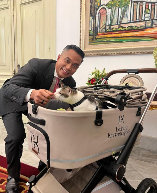 Gemas! Prabowo Boyong Kucing Kesayangan Bobby Kertanegara ke Istana