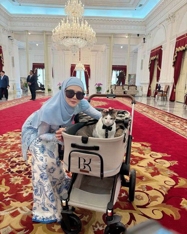 Gemas! Prabowo Boyong Kucing Kesayangan Bobby Kertanegara ke Istana