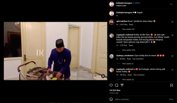 Gemas! Prabowo Boyong Kucing Kesayangan Bobby Kertanegara ke Istana