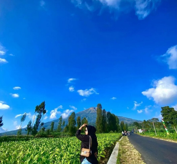 8 Rekomendasi Tempat Wisata di Temanggung, Nomor 7 Paling Viral