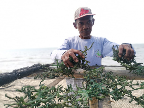 Gunakan Teknologi USC, PLTU Jawa 4 Lebih Efisien dan Ramah Lingkungan