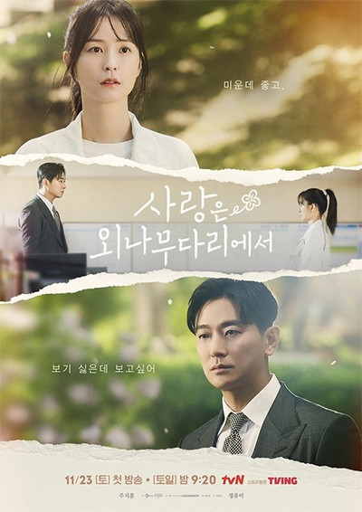 11 Drama Korea yang Tayang November 2024, Nomor 3 Ditunggu-tunggu Penggemar Ji Chang-wook