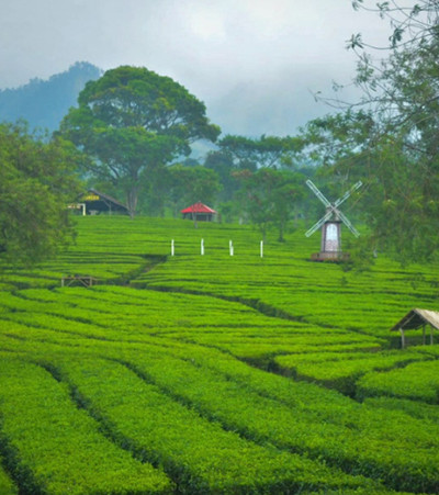 10 Rekomendasi Tempat Wisata Hits di Malang, Nomor 6 Berasa di Eropa