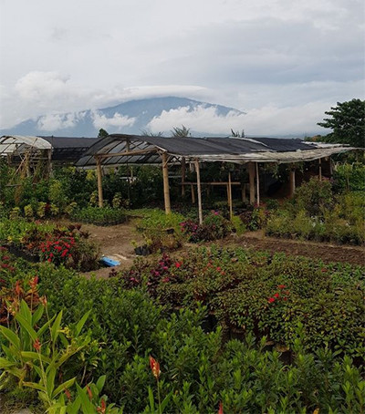 10 Rekomendasi Tempat Wisata Hits di Malang, Nomor 6 Berasa di Eropa