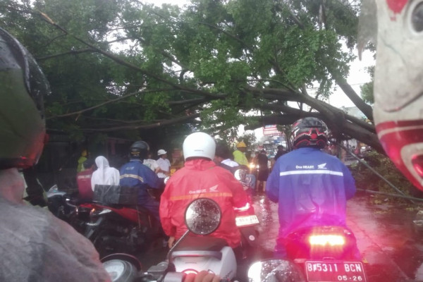 Hujan Badai Landa Citayam, Baliho dan Pohon Tumbang