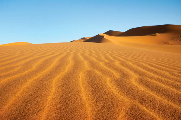 Jarang Diketahui, Ini Hubungan Gurun Sahara dan Hutan Amazon yang Menggemparkan