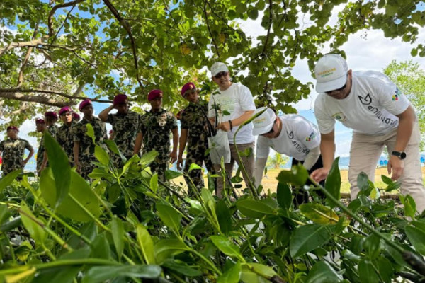 Penanaman 20 Ribu Bibit Mangrove Bantu Cegah Pemanasan Global dan Dorong Partisipasi Masyarakat serta Korporasi