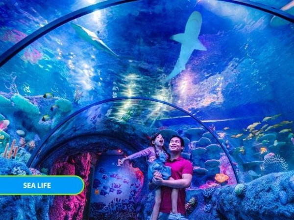 Coba Berbagai Wahana di Legoland Malaysia saat Liburan Akhir Tahun 2024!