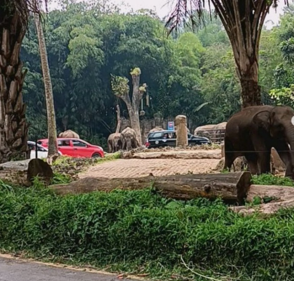 6 Rekomendasi Tempat Wisata di Jawa Barat yang Ramah Lansia