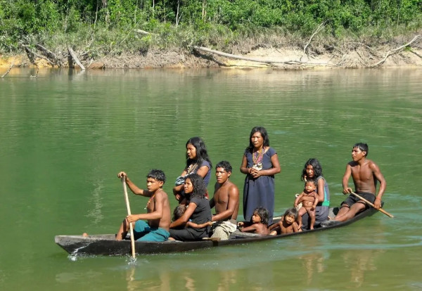 4 Suku Primitif di Hutan Amazon: Perjuangan untuk Bertahan Hidup di Tengah Ancaman Modernitas