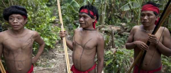 4 Suku Primitif di Hutan Amazon: Perjuangan untuk Bertahan Hidup di Tengah Ancaman Modernitas