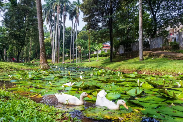 7 Rekomendasi Tempat Jogging di Jakarta selain GBK