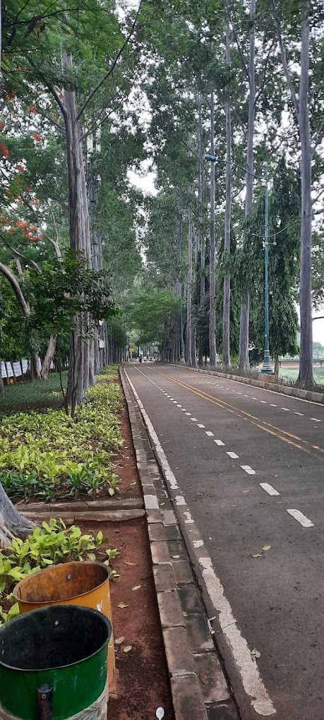 10 Rekomendasi Tempat Lari di Jakarta selain GBK, Cocok untuk Pemula hingga Profesional