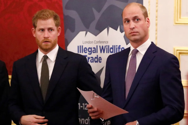 Pangeran William Duga Harry Dicuci Otak, Akui Tak Mengenalinya Lagi