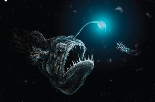 Misteri Evolusi di Kegelapan Abadi: Ikan Sungut Ganas Laut Dalam