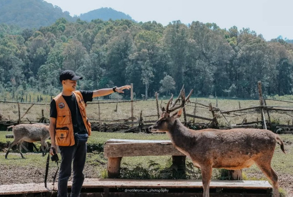 8 Rekomendasi Tempat Wisata Kebun Binatang di Bandung, Jadi Pilihan di Libur Akhir Tahun