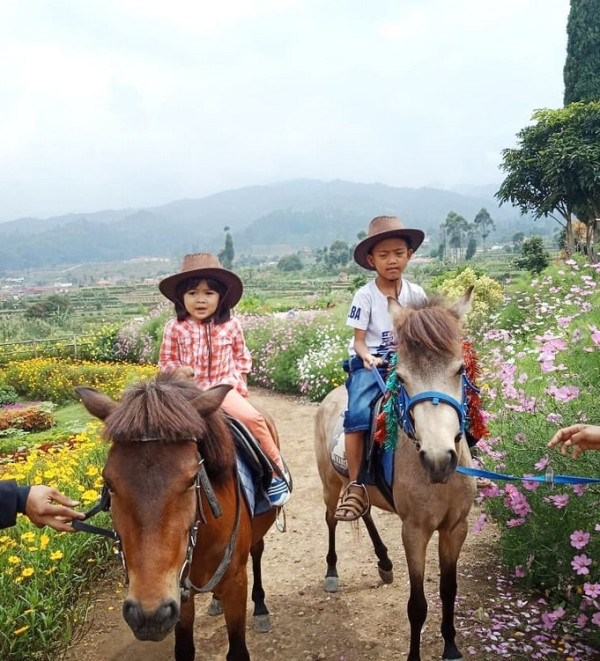8 Rekomendasi Tempat Wisata Kebun Binatang di Bandung, Jadi Pilihan di Libur Akhir Tahun