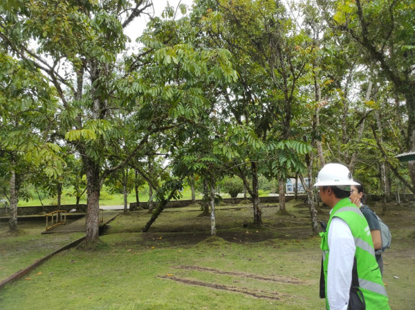 Mengunjungi MP21 Freeport Indonesia, Merawat Lahan Tailing Menjadi Kawasan Produktif
