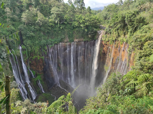 10 Rekomendasi Paket Wisata di Jawa Timur, dari Pantai hingga Gunung