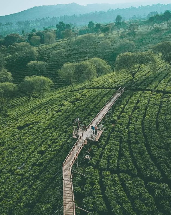 10 Rekomendasi Tempat Wisata Sejuk di Malang, Pilihan Liburan Akhir Tahun Bersama Keluarga