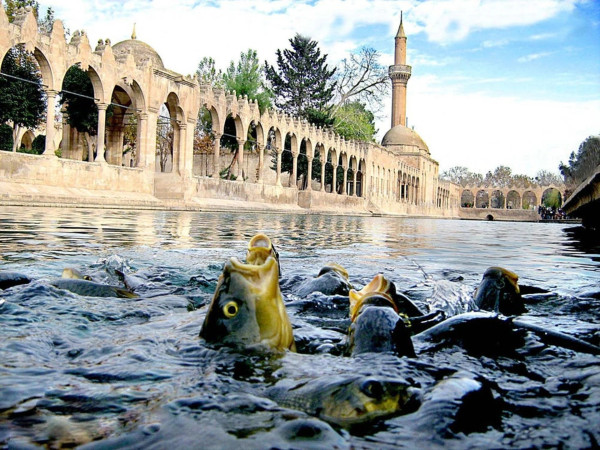 Penampakan Kota Urfa di Turki, Tempat Nabi Ibrahim Dibakar Raja Namrud