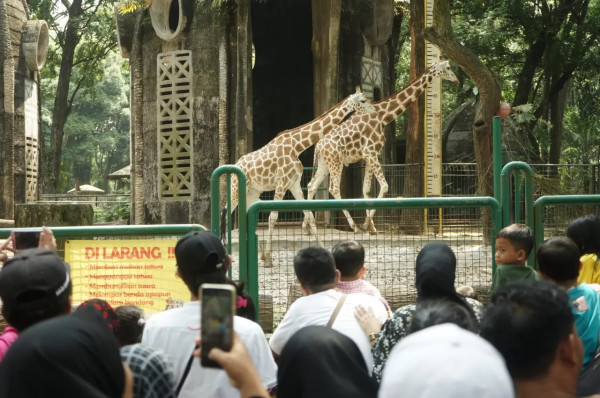 10 Tempat Wisata Murah di Jakarta untuk Liburan Akhir Tahun, Nomor 2 Tiket Masuknya Gratis