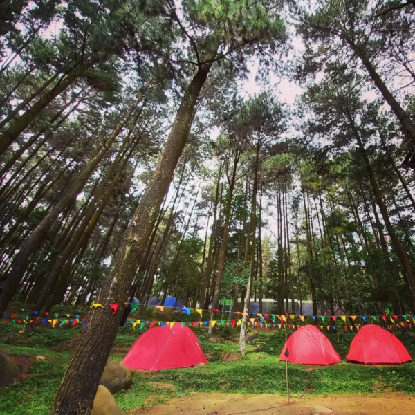 10 Tempat Wisata Murah di Bogor untuk Liburan Tahun Baru, Nomor 5 Udaranya Dingin