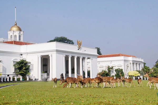 10 Tempat Wisata Murah di Bogor untuk Liburan Tahun Baru, Nomor 5 Udaranya Dingin