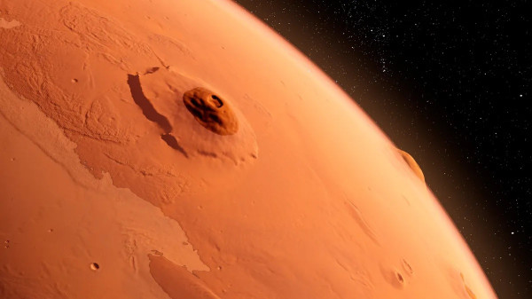 10 Penemuan Menakjubkan di Mars Tahun 2024, dari Laba-laba hingga Anjing Mars!