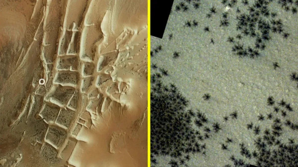 10 Penemuan Menakjubkan di Mars Tahun 2024, dari Laba-laba hingga Anjing Mars!