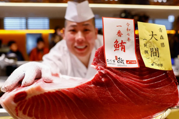 Ikan Tuna Seukuran Sepeda Motor Dijual Rp20,9 Miliar ke Restoran Sushi di Tokyo