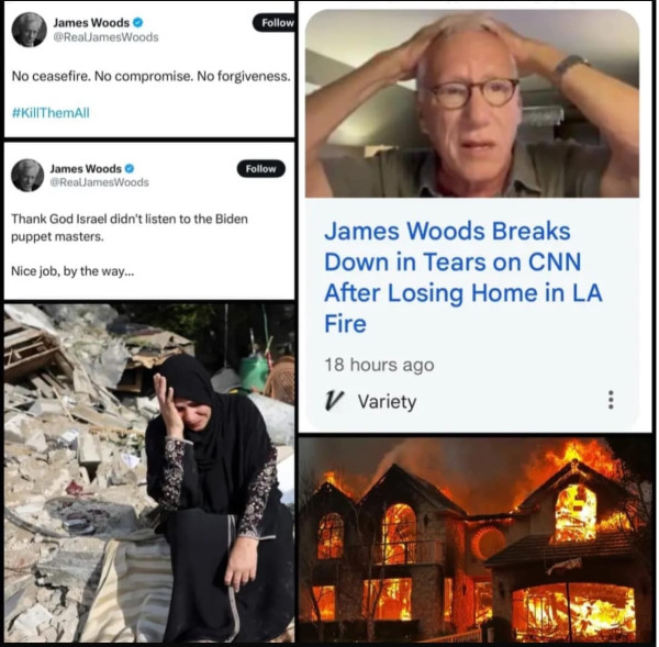 Karma James Woods, antara Kebakaran Los Angeles dan Penghancuran Gaza