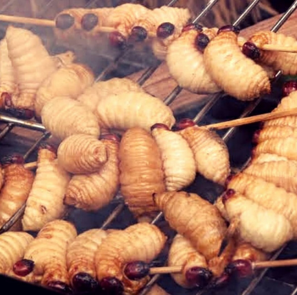 Deretan Serangga yang Jadi Makanan Khas Daerah di Indonesia, Bisa Jadi Pengganti Makanan Bergizi Gratis?