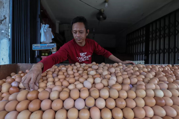 Telur Ayam Negeri vs Kampung, Mana Lebih Sehat? Simak Perbandingannya