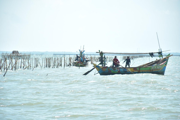 TNI AL Ungkap Progres Pembongkaran Pagar Laut di Banten: Sudah 22,5 Kilometer