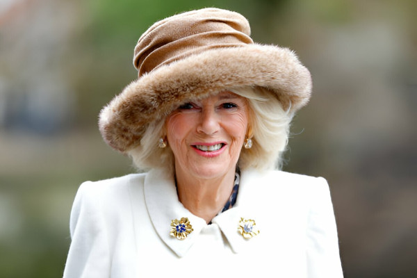 3 Musuh Pangeran Harry di Kerajaan Inggris, Ratu Camilla Disebut Buat Putri Diana Menderita