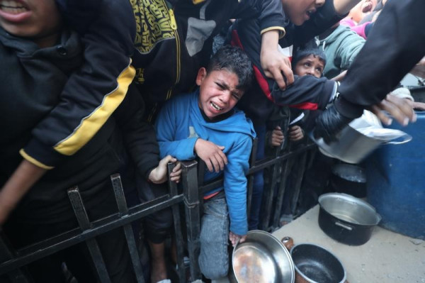 8 Fakta Proposal Gaza 2030 yang Diajukan Mesir
