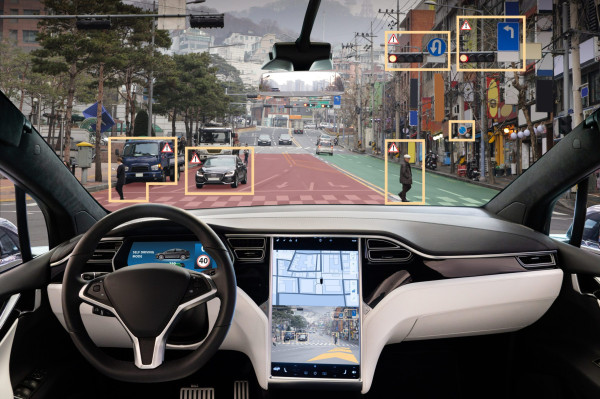 Ilmuwan Temukan Rahasia Anti Macet dari Semut: Solusi Mobil Otonom!