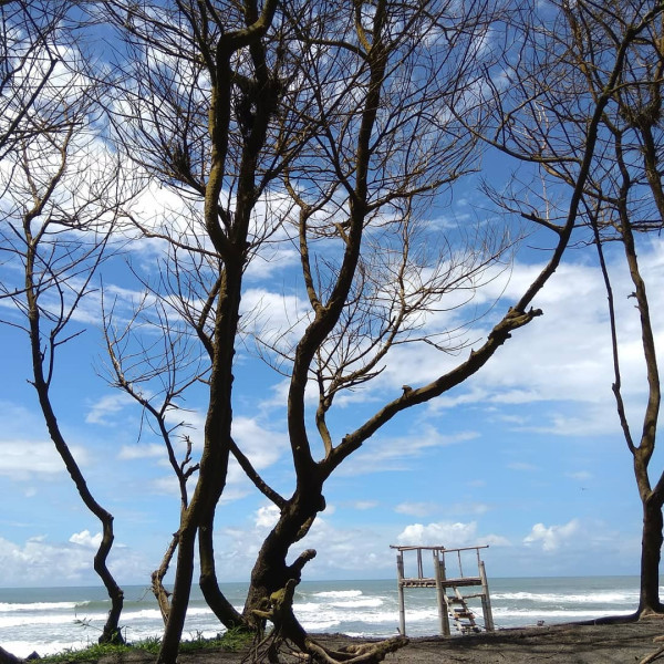 7 Rekomendasi Wisata Batang, Jadi Daerah Paling Banyak Mengonsumsi Gorengan