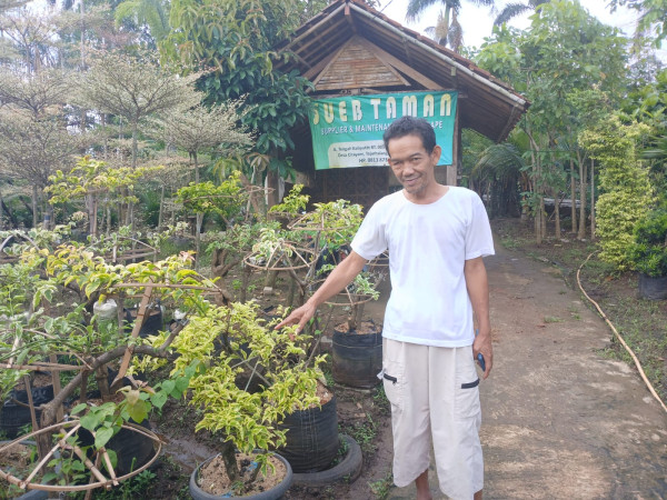 Tanaman Hias yang Mengubah Hidup Sueb di Tajurhalang Bogor