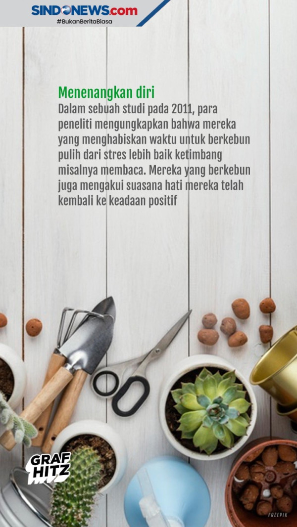 Tanaman Hias yang Mengubah Hidup Sueb di Tajurhalang Bogor
