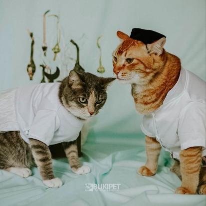 Lompatan Sukses sebelum 30, Pemuda Garut Taklukkan Pasar Pakaian Kucing di Shopee
